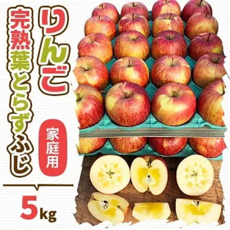 (2026年産予約)当園人気第1位!!【青森市産 完熟葉とらずふじ】約5kg16～23玉 (家庭用)【配送不可地域：離島・沖縄県】【1181954】