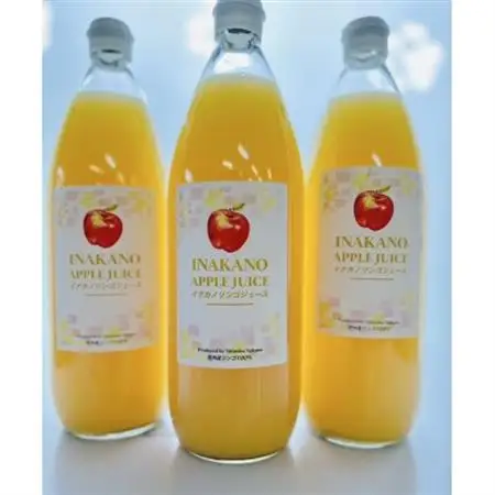 イナカノ　100%りんごジュース　1000ml×6本セット【長野県/信州中野】【1631556】