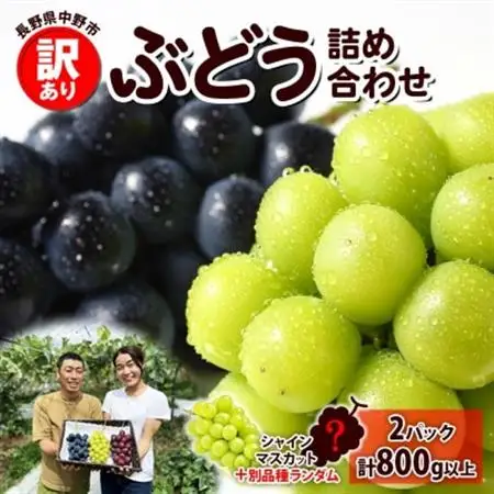 【2026年先行受付】訳あり ぶどう 房 2種 食べ比べ 計2パック(計800g以上) 信州丸幸農園【配送不可地域：離島・沖縄県】【1671026】