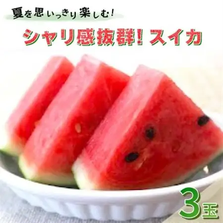 【先行受付/2026年8月上旬より発送】3玉!夏を思いっきり楽しむ!シャリ感抜群!スイカ【ぷちっと】【配送不可地域：離島・北海道・沖縄県】【1685555】