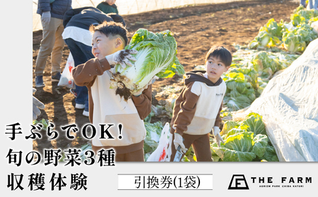 手ぶらでOK!THE FARMの旬の野菜収穫体験引換券(1袋) TFM005