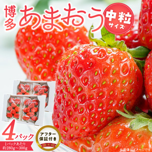 福岡県産あまおういちご　280g～300g×4パック（中粒）【3月～4月発送】 _ いちご あまおう 中粒 4パック 宇佐川農園 果物 フルーツ みずみずしい ジューシー 甘味 酸味 濃厚 ストロベリー パフェ ショートケーキ パンケーキ スムージー サンドイッチ ジャム 福岡県産 久留米市 お取り寄せ 送料無料  〔Fi077-03〕