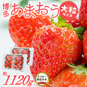 福岡県産あまおういちご　約280g以上×4パック（大粒）【3月～4月発送】 _ いちご あまおう 大粒 4パック 宇佐川農園 果物 フルーツ みずみずしい ジューシー 甘味 酸味 濃厚 ストロベリー パフェ ショートケーキ パンケーキ スムージー サンドイッチ ジャム 福岡県産 久留米市 お取り寄せ 送料無料  〔Fi077-02〕