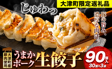 餃子 うまかポーク生餃子 90個 タレ付き 大津町限定返礼品 冷凍餃子 ギョウザ《30日以内に出荷予定(土日祝除く)》大津町産豚肉使用 九州産キャベツ使用（大津町産含む）皮モチモチ 肉汁溢れる ぎょうざ （30個×3袋）