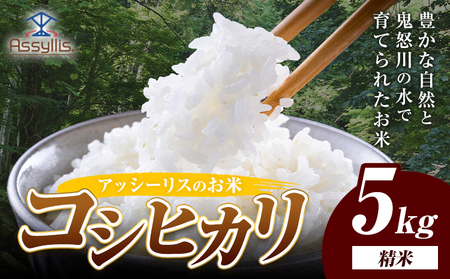 米 令和7年産 こしひかり コシヒカリ 白米 5kg アッシーリス 株式会社ヤマナカ《30日以内に出荷予定(土日祝除く）》茨城県 結城市 こめ お米 ご飯 鬼怒川 精米