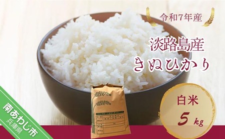 令和7年産新米　淡路島産キヌヒカリ　白米5kg