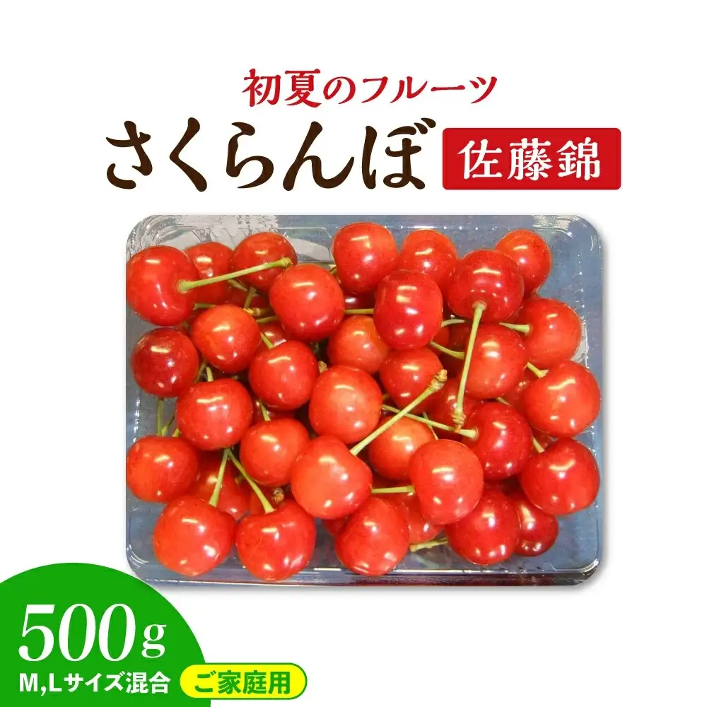 さくらんぼ（佐藤錦）５００ｇ　ご家庭用　0112-2609