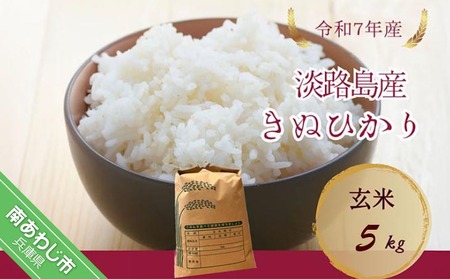 令和7年産新米　淡路島産キヌヒカリ　玄米5kg