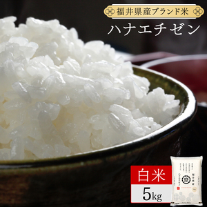 ハナエチゼン 精米 5kg（5kg×1）令和7年産 [095-a006_C]