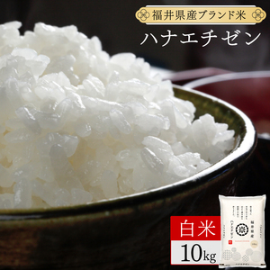 ハナエチゼン 10kg（10kg×1）令和7年産[095-a007_C]