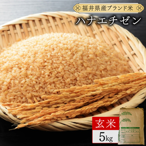 ハナエチゼン 玄米 5kg（5kg×1）令和7年産[095-a012_B]