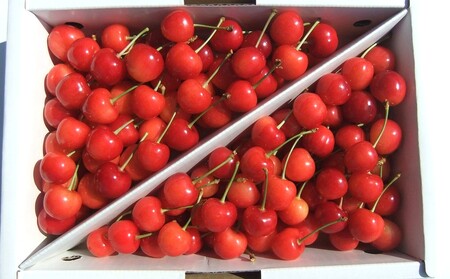 さくらんぼ（紅さやか）１ｋｇ　ご家庭用　0030-2605