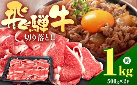 飛騨牛 切り落とし 1kg | 岐阜県 北方町