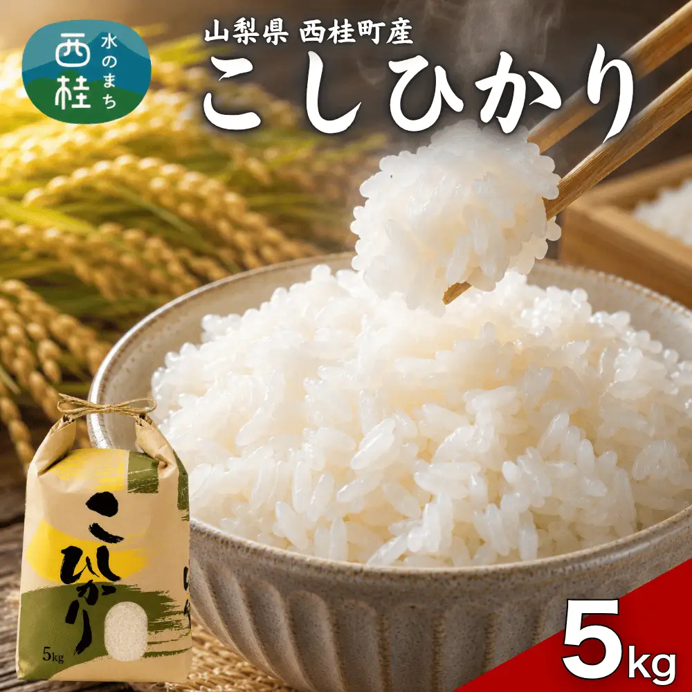 コシヒカリ 5キロ 1袋 / 国産 こしひかり  5キロ 令和7年 新米 米 お米 保存袋 生活必需品 ギフト 贈り物 お歳暮 ふるさと納税 送料無料【n0663-05_gou】