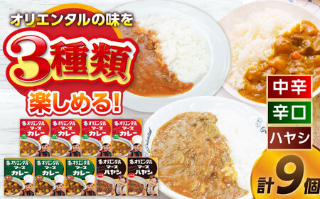 マースカレー・ハヤシレトルトセット3種9個（オリジナルスプーン付） / レトルトカレー 中辛 辛口 ハヤシライス ご当地 カレー / 稲沢市 / オリエンタル [BMAM004]