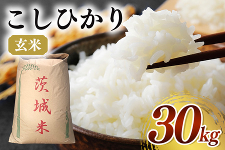 【令和７年産】コシヒカリ 玄米30kg お米 米 玄米 ご飯 ごはん 国産米 産地直送 茨城県 石岡市 B08-002