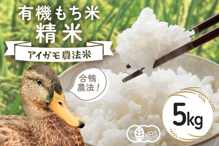 【令和7年産】有機もち米 精米5kg お米 米 白米 もち米 ご飯 ごはん 国産米 産地直送 茨城県 石岡市 B03-005