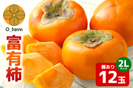 【2026年先行予約】富有柿 2L 12玉（1段） 柿 カキ かき フルーツ 果物 くだもの 産地直送 茨城県 石岡市 A44-002
