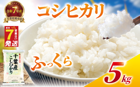 コシヒカリ 5kg 令和7年産 白米 コシヒカリ 千葉県