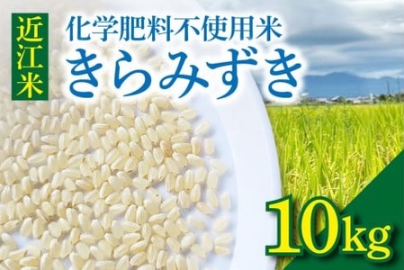 【令和8年】先行予約　近江米『きらみずき』　化学肥料不使用米　10キロ（鮮度保持袋） DT-0011s