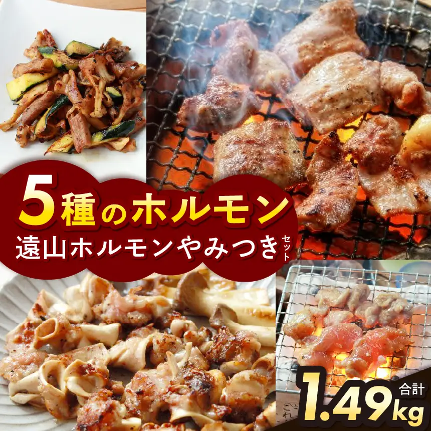 遠山ホルモンやみつきセット