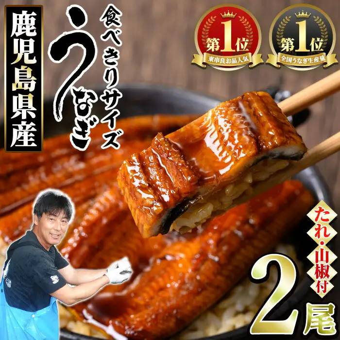【0074336a】＜食べきりサイズ！＞東串良町のうなぎ蒲焼(無頭)(計2尾・計約200g・タレ、山椒付) うなぎ 蒲焼長焼 ウナギ 鰻 蒲焼き 国産うなぎ 国産 九州産 鹿児島 鹿児島県産 人気 ランキング 高級 家庭用 おすすめ たれ さんしょう 【アクアおおすみ】