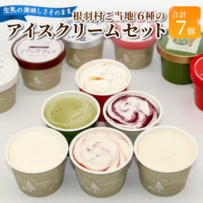 ご当地６種のアイスクリームセット 7個 生ソフトクリームアイス バニラアイス 西尾抹茶 抹茶 りんご 紅ほっぺ いちご 苺アイス ブルーベリー フレーバー 詰め合わせ 根羽村  5,000円 