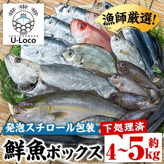 【B78001】ロコフィッシュ 地魚 下処理済 鮮魚 ボックス 約4～5kg 発泡スチロール包装 鮮魚BOX 【昌徳丸】