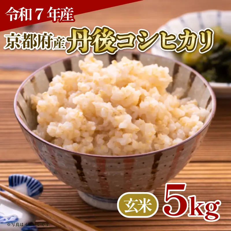 【玄米】令和7年産 丹後コシヒカリ 玄米 5kg