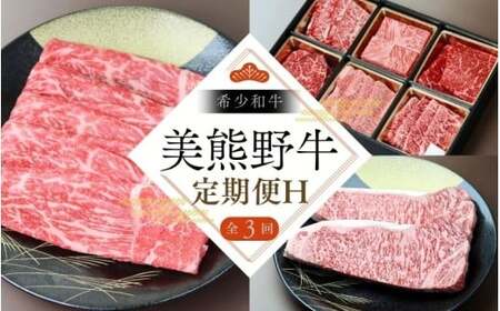 【3回定期便H】牛肉 美熊野牛 牛肉定期便【okad-tkb0018】