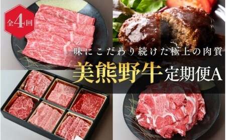 【4回定期便A】牛肉 美熊野牛 牛肉定期便【okad-tkb0019】