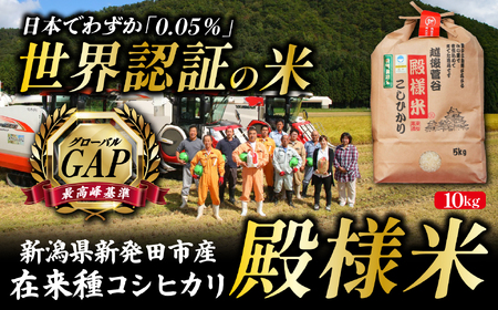 【数量限定】コシヒカリ 10㎏ 令和7年産 【 新潟県産 新発田産 米 10kg 越後菅谷 殿様米 コシヒカリ echigosugatani001 】