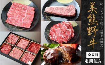 【5回定期便A】牛肉 美熊野牛 牛肉定期便【okad-tkb0023】