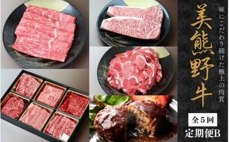 【5回定期便B】牛肉 美熊野牛 牛肉定期便【okad-tkb0024】