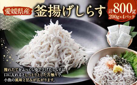 釜揚げしらす【4パック】 計約800g 釜揚げシラス しらす 釜揚げ 加工品 グルメ 食品 魚介 小魚 魚 海鮮 海の幸 愛媛県 冷凍 （896）