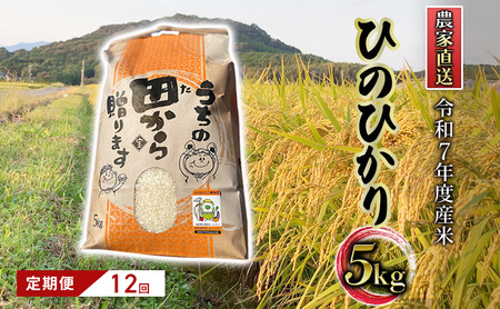 定期便 12ヶ月 米 5kg 令和7年度産 米 ひのひかり 筑後小郡産 農家直送 12回 お米 コメ お楽しみ