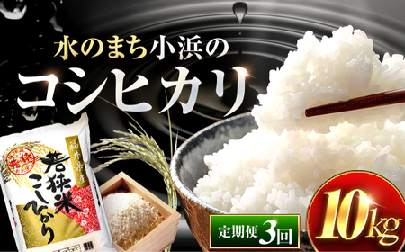 【3回定期便】 福井県産 コシヒカリ 精米 (白米) 10kg 一等級　福井県米 /甘みと粘りが際立つ 王道米 こしひかり 小浜市 / 若狭ふれあい市場[BFEL031]