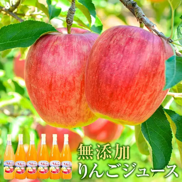 搾りたて果汁100％！無添加りんごジュースお楽しみ６本セット　訳あり/さんふじ サンフジ サンふじ 送料無料 矢巾町産 りんご 予約 蜜 ジュース 甘い 酸味 贈答 ギフト プレゼント リンゴ 林檎 果物 くだもの フルーツ 岩手県 矢巾町