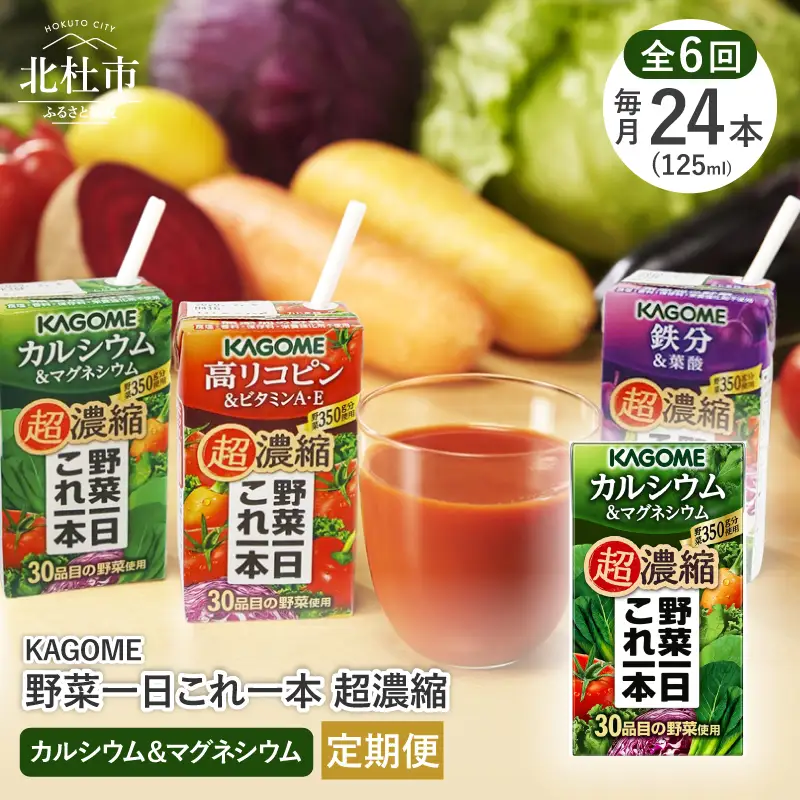 【6ヵ月定期便】カゴメ 野菜一日これ一本 超濃縮 カルシウム＆マグネシウム 125ml 紙パック 24本入 （野菜ジュース） [h172]