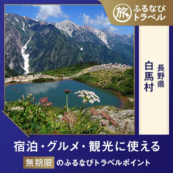 【旅行支援・宿泊無期限】旅行ポイント白馬村ふるなびトラベルポイント