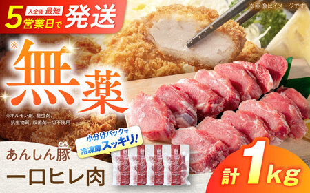 一口豚ヒレ肉 1kg（250g×4袋） 希少部位 白川町 / 藤井ファーム[AWAF070] 豚肉