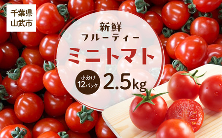 【先行予約】【発送期間は5月中旬～7月中旬、9月上旬～11月下旬】新鮮でフルーティーな小川ファームのミニトマト2.5kg(12パック入り)