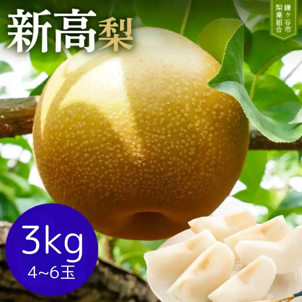 ※先行受付※【新高3kg】かまがや育ちの完熟梨（梨業組合）