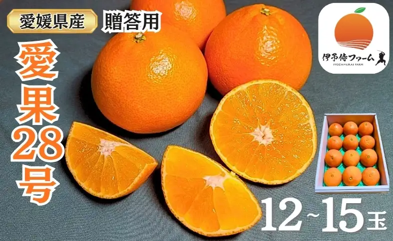 【2026年先行予約】みかん 愛果28号 贈答用 L～2L 12～15玉 紅まどんなと同一品種 【2026年12月から順次発送】 数量限定 柑橘 人気 伊予侍ファーム 愛媛 伊予市｜C138