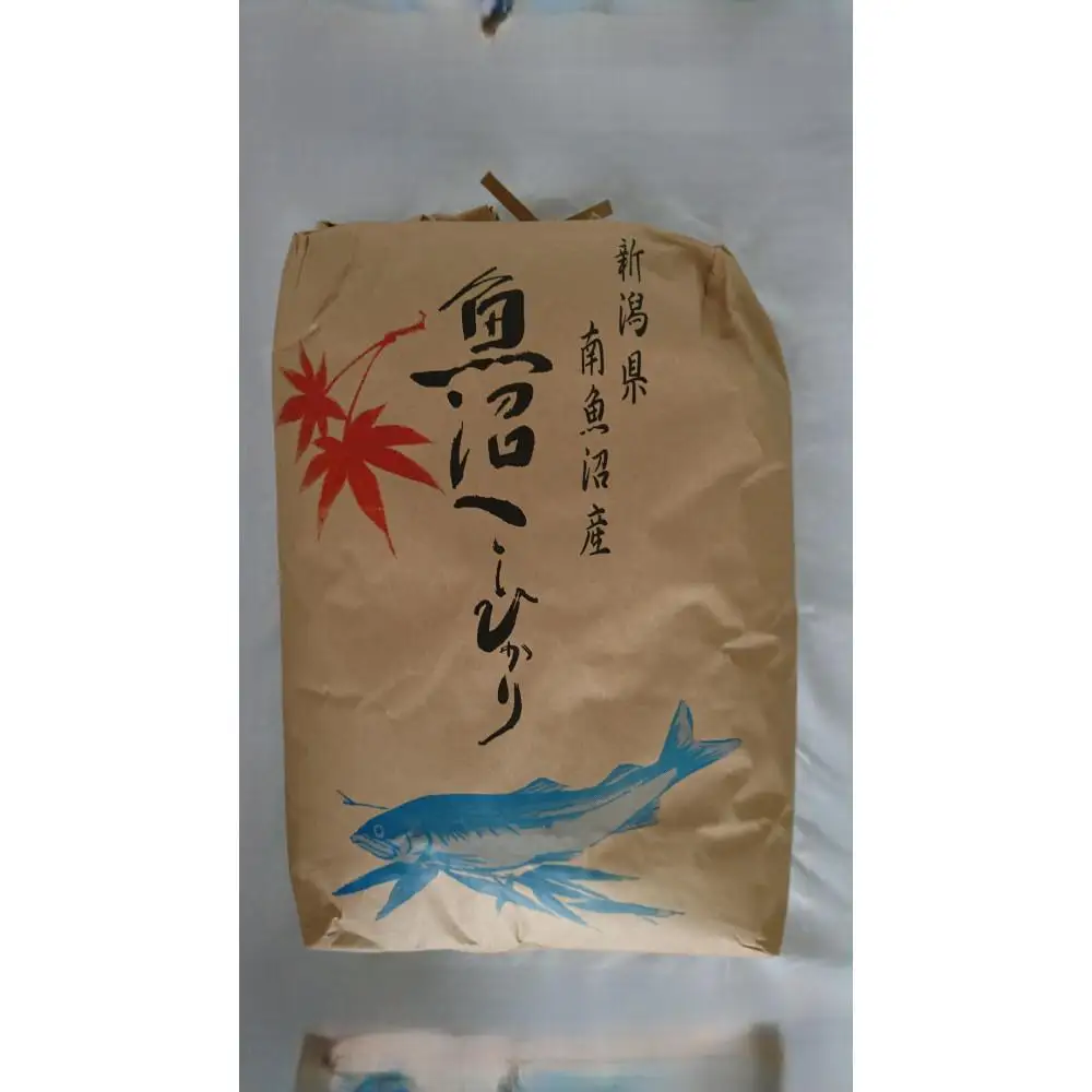 【令和7年】魚沼産しおざわコシヒカリ玄米2０kg【銘柄米 ブランド米 玄米 こしひかり コシヒカリ 魚沼産 新潟米 産地直送 お米 米 こめ コメ ご飯 御飯 ごはん】