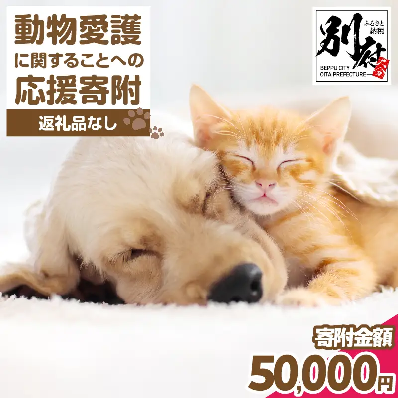 【返礼品なし】動物愛護に関することへの応援寄附(50,000円)_B001-069