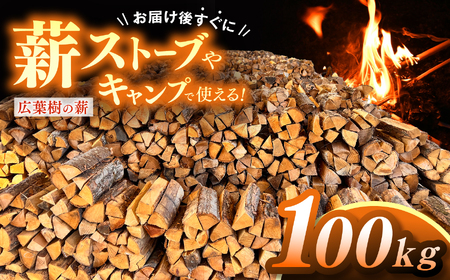 薪 信州産 広葉樹の薪 薪1箱 約20キロ×5箱 合計100キロ 薪長さ：35cm【040-11】