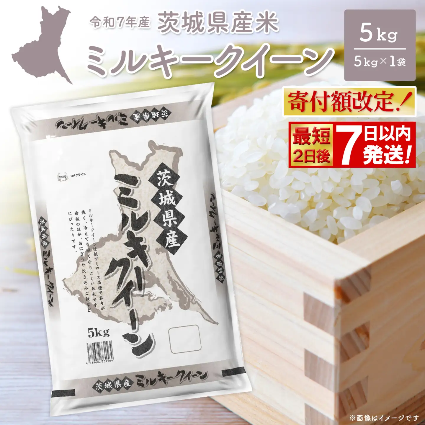 ミルキークイーン 5kg×2 三嶋野米穀 五島産ミルキークイーン5kg[PBN003] ミルキークイーン みるきーくいー