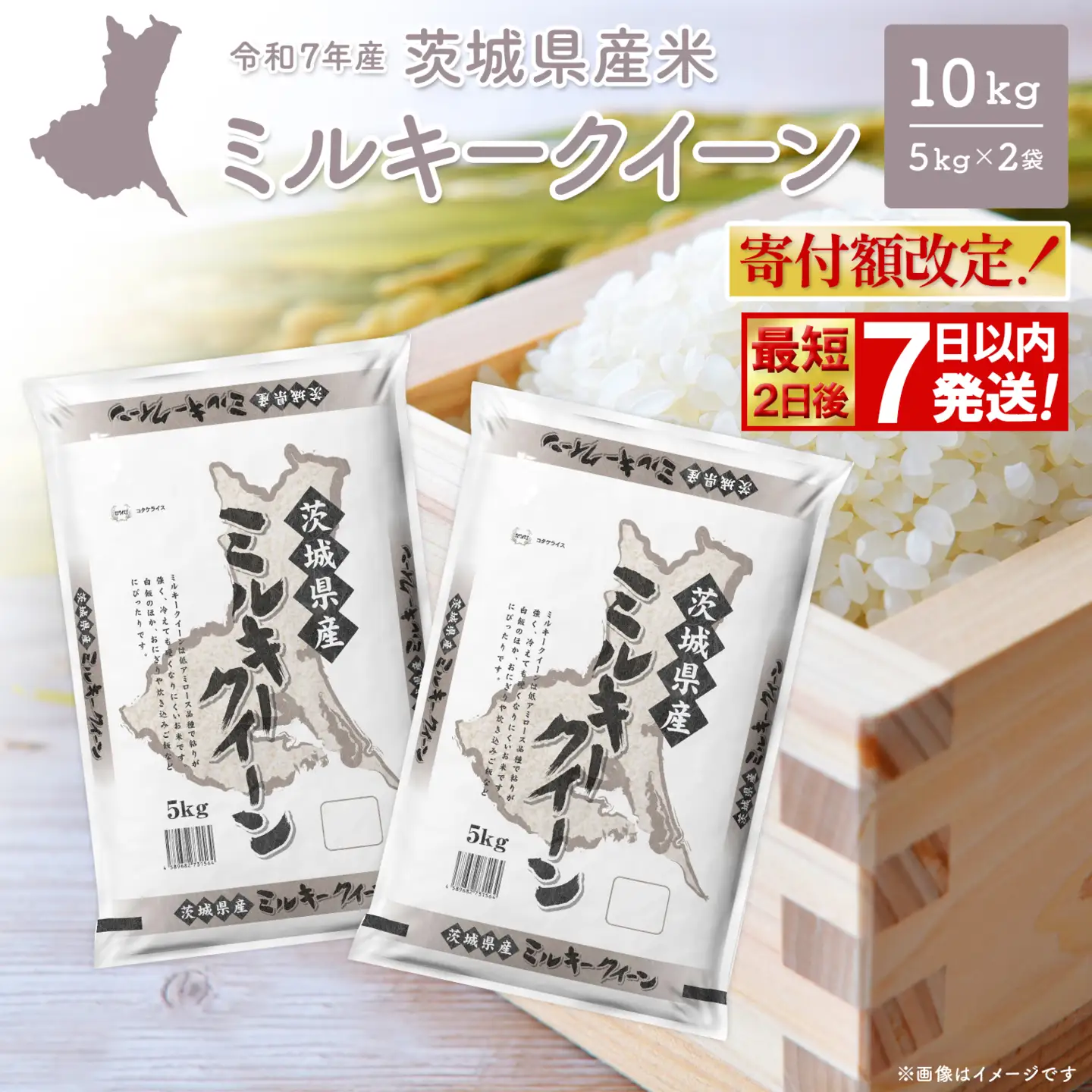 最短発送 ミルキークイーン 10kg 令和7年産 白米 茨城県産 米 K2661