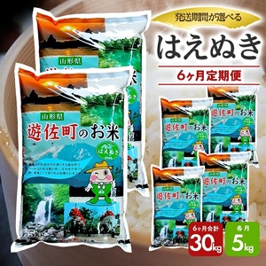 【定期便】遊佐町産はえぬき5kg×6ヶ月連続中旬発送（6月～11月） [1455T06]